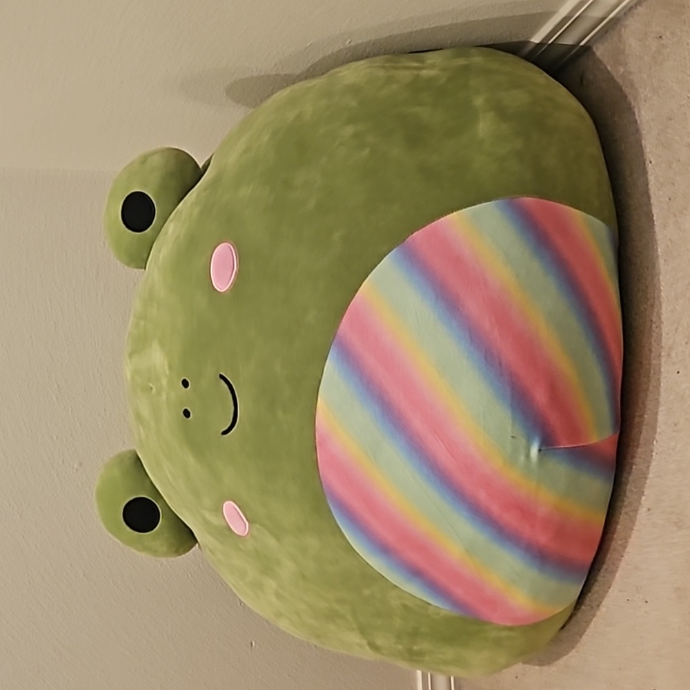 24" Squishmallow "Doxl" Great Condition Rainbow Frog (no tag)